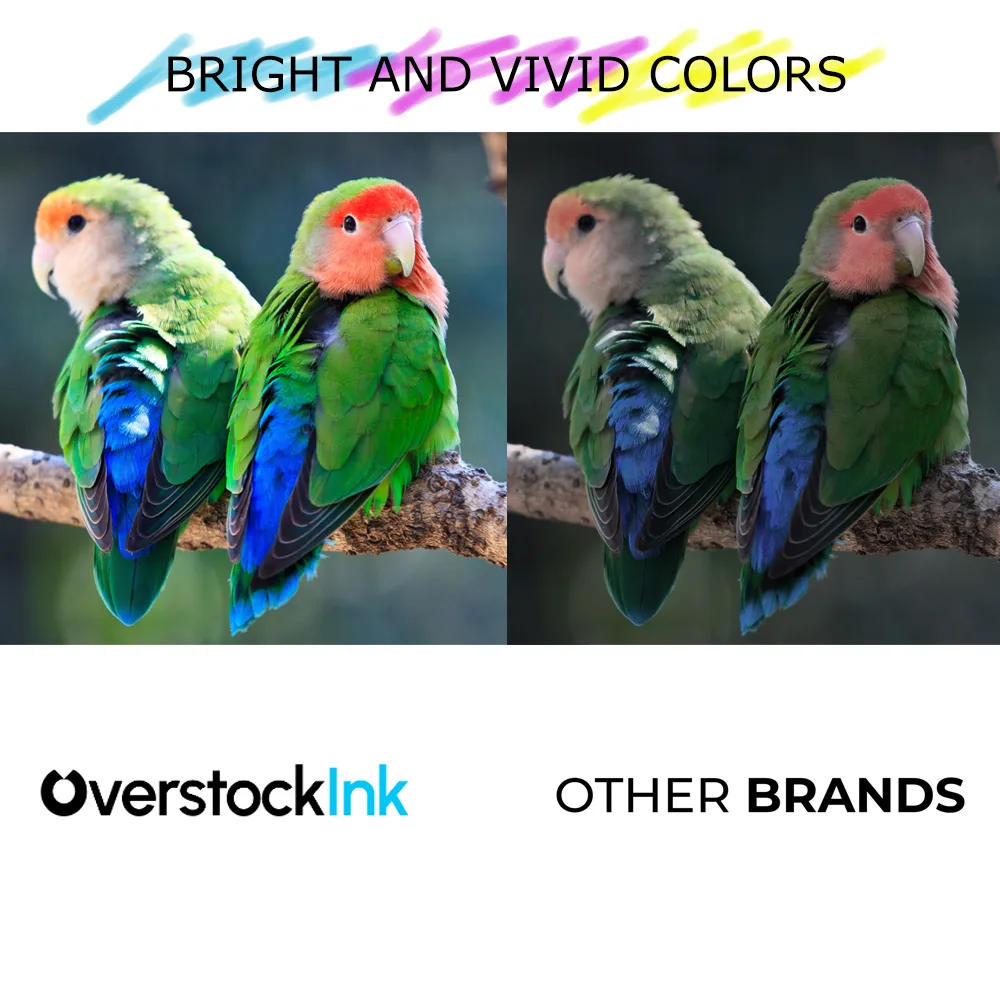 Epson T664 Black Ink Bottle (70ml)