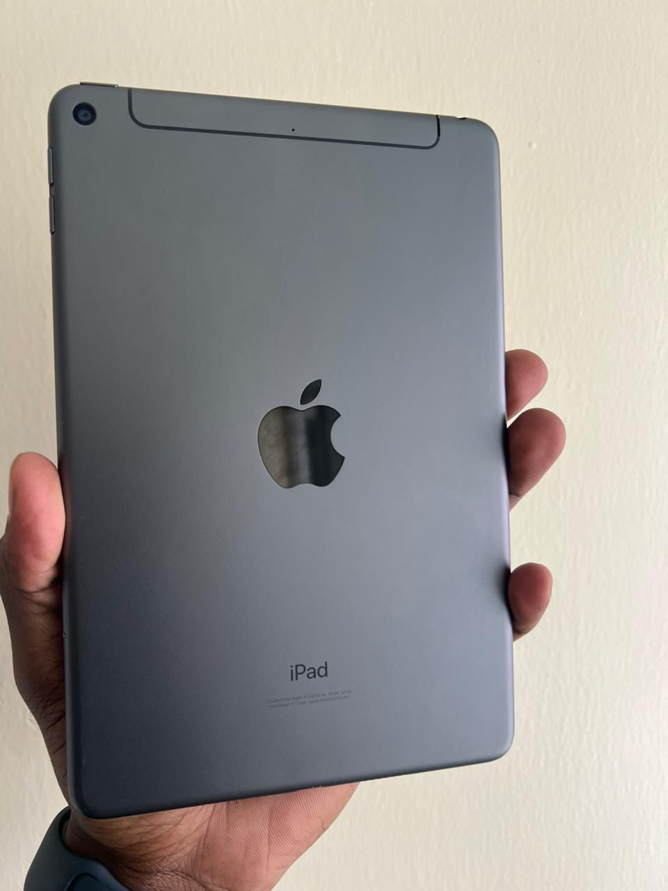 Apple iPad Mini 5th Generation 64GB WiFi + Cellular